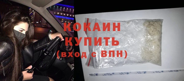 прущие грибы Инта