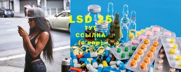 прущие грибы Инта