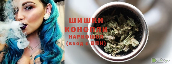 прущие грибы Инта