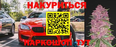 дурь Кингисепп