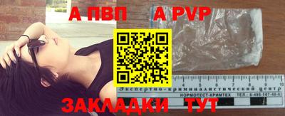 дурь Кингисепп