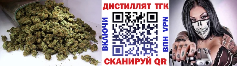 купить наркотики сайты  Курчалой  hydra ТОР  ТГК гашишное масло 