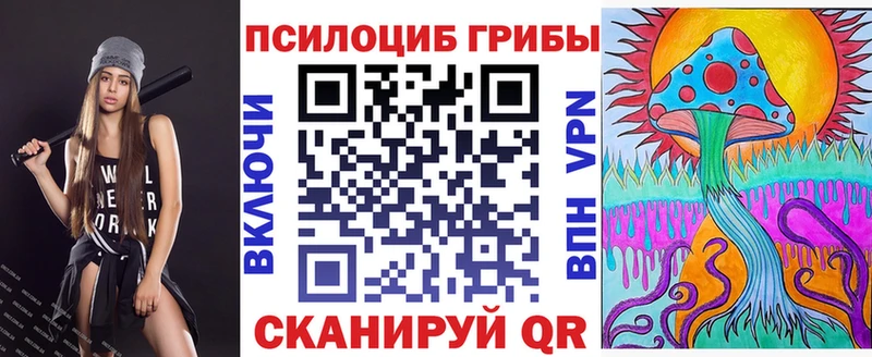 Галлюциногенные грибы Psilocybe  Курчалой 