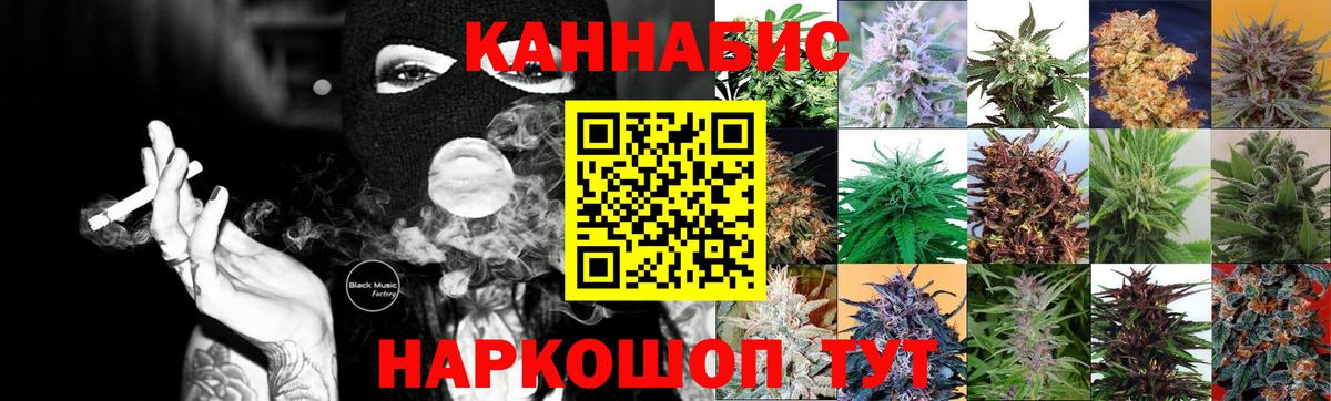 Канабис семена Курчалой